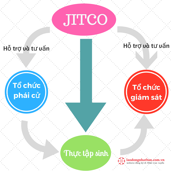 sơ đồ hoạt động của JITCO